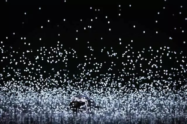 《織機(jī) · 精靈》