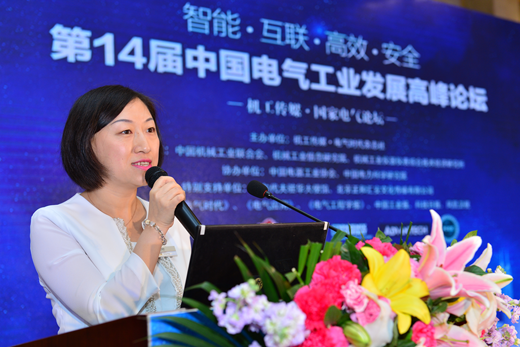 機(jī)工傳媒?電氣時(shí)代雜志社常務(wù)副社長(zhǎng)宗穎主持會(huì)議