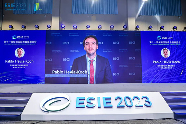 國(guó)際能源署可再生能源整合和安全電力部主任Pablo Hevia-Koch先生